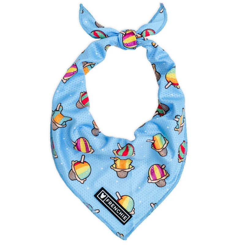 Frenchie Cooling Bandana - Rainbow Ice