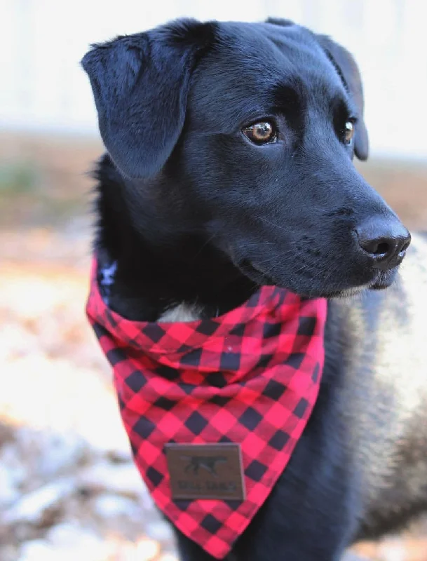 Tall Tails - Plaid Red Bandana