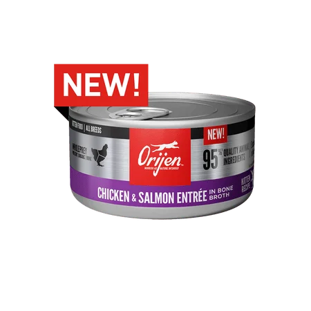 ORIJEN Chicken & Salmon Recipe Canned Kitten Food